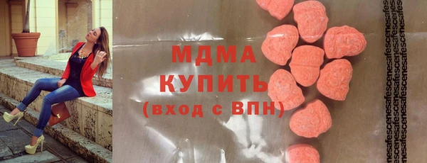 индика Алексин