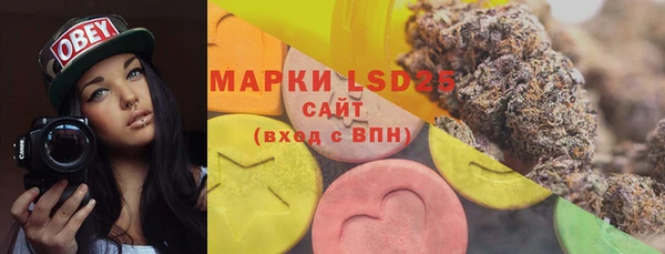 индика Алексин