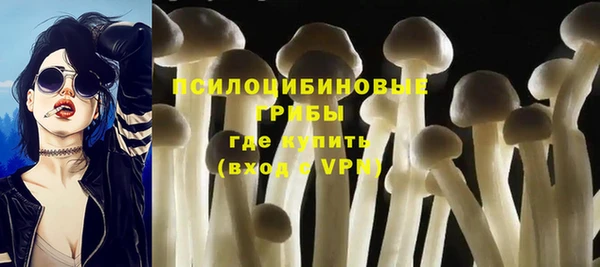 дурь Сафоново