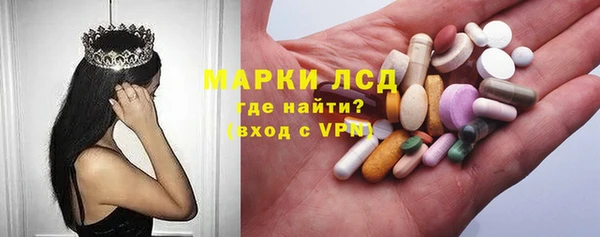 индика Алексин