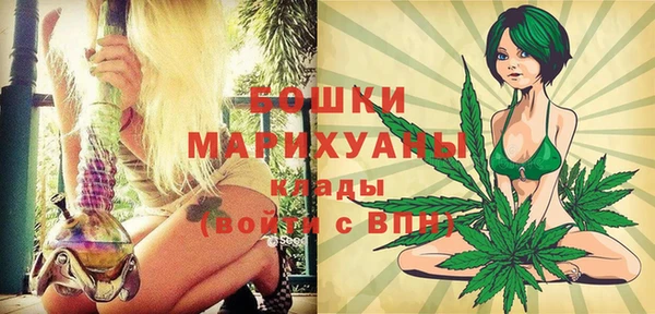 индика Алексин
