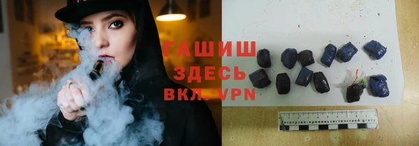 индика Алексин