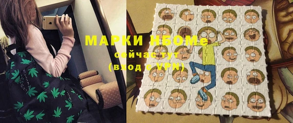 индика Алексин