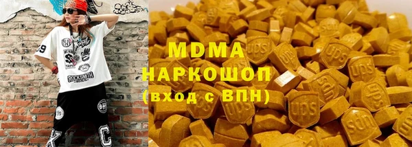 индика Алексин