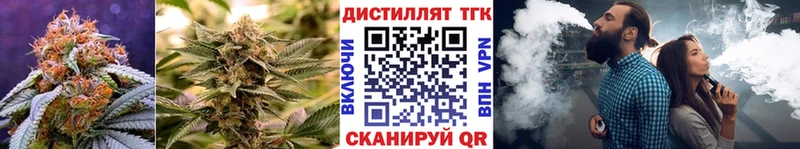 купить закладку Каргат ТГК концентрат