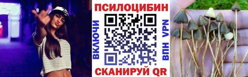 даркнет клад  Каргат  Галлюциногенные грибы GOLDEN TEACHER 